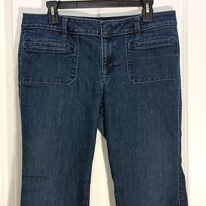 Ann Taylor Size 31/12 women's jeans